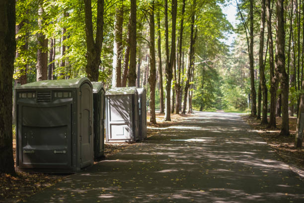 Best Utility Line Clearance  in Forest Hills, TN